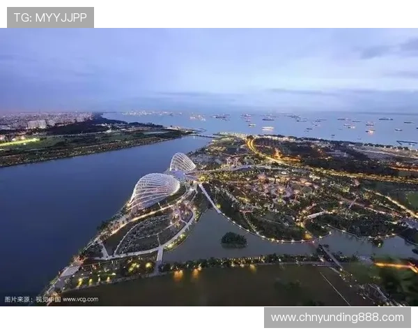 掌握云顶国际官网入口登录技巧，提升登录速度享受优质娱乐体验