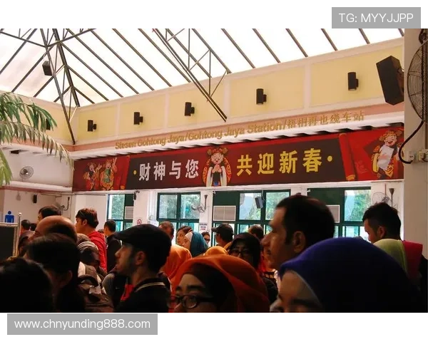 马来西亚云顶一号项目的合作伙伴与国际投资者关系分析